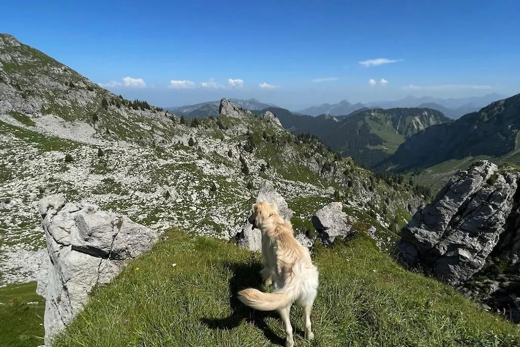 Family Chalet, Stunning Views & New Hot Tub La Cote d'Arbroz 0*,  France