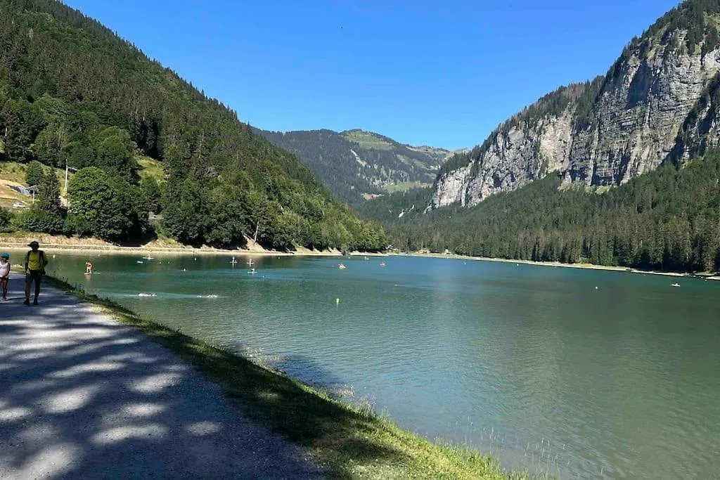 Chalet Family Chalet, Stunning Views & New Hot Tub La Cote d'Arbroz France